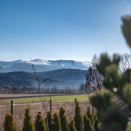 Domki W Karkonoszach Szmaragdowy Widok Wojcieszyce Екстер'єр фото