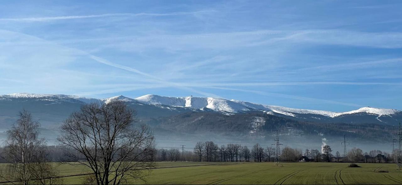 Domki W Karkonoszach Szmaragdowy Widok Wojcieszyce Екстер'єр фото